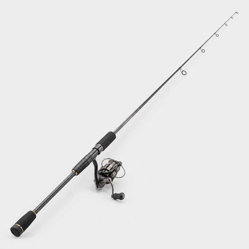 Fishing rod and reel